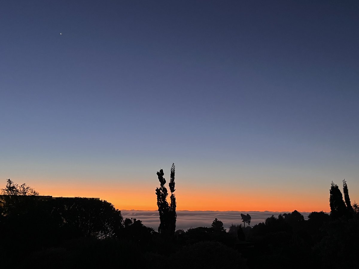 lotta22222's tweet photo. hoy vi el atardecer desde encima de las nubes https://t.co/9KbM25EUxr