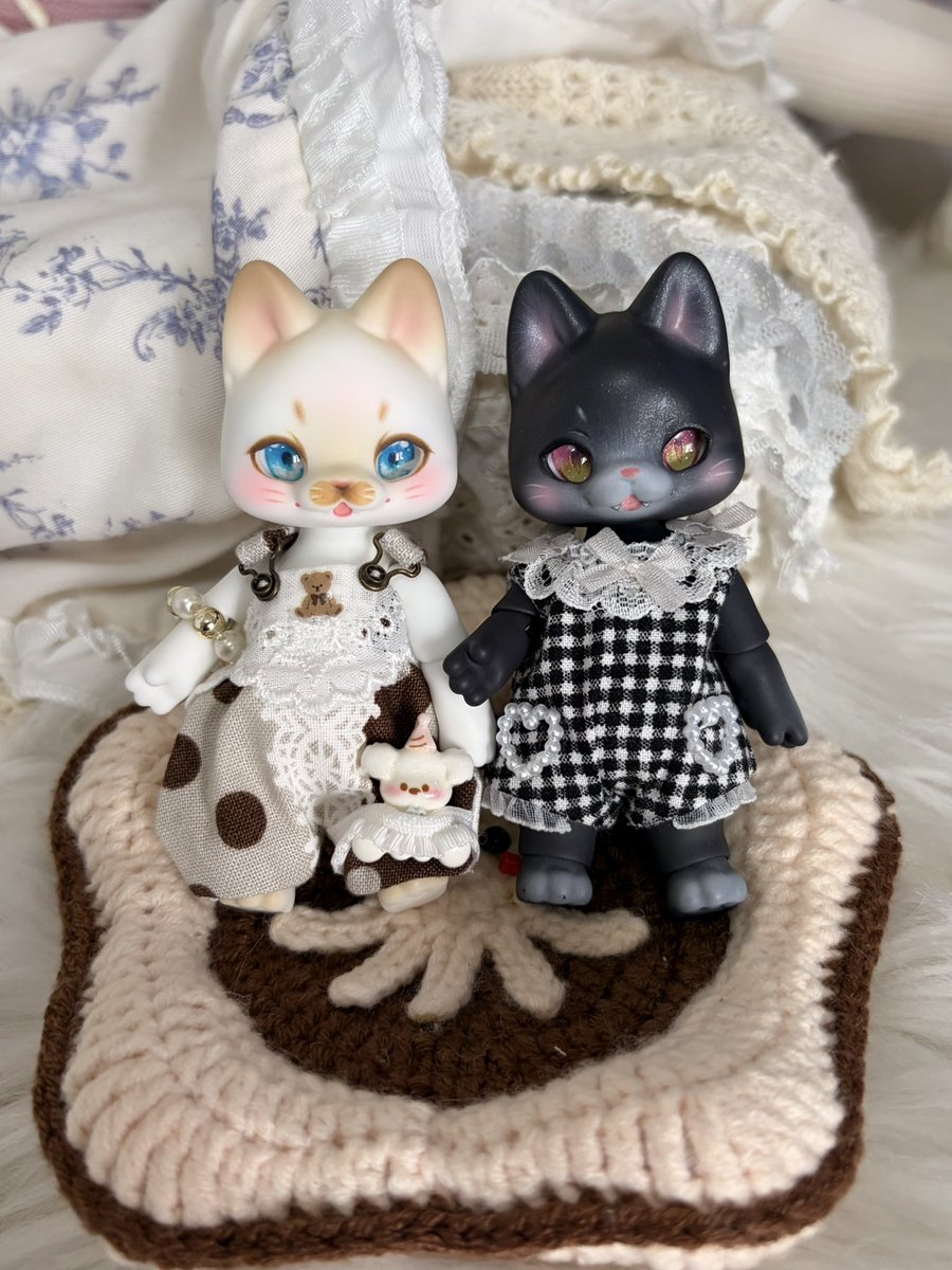 praeis_doll's tweet photo. 🐈🐈‍⬛

costume 🐈‍⬛ : @lilmintM 

#kumukuku https://t.co/AjnSIWXkMy