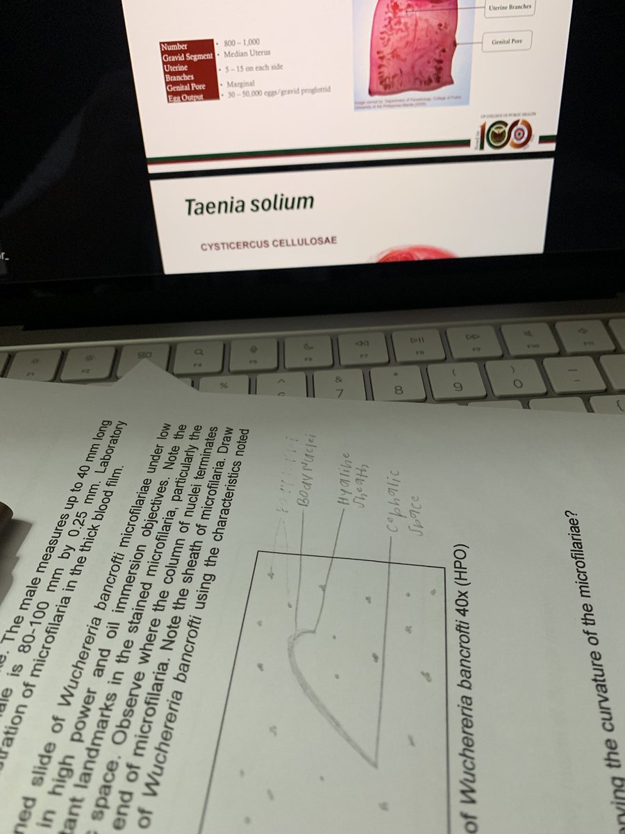 studyvuitton tweet picture