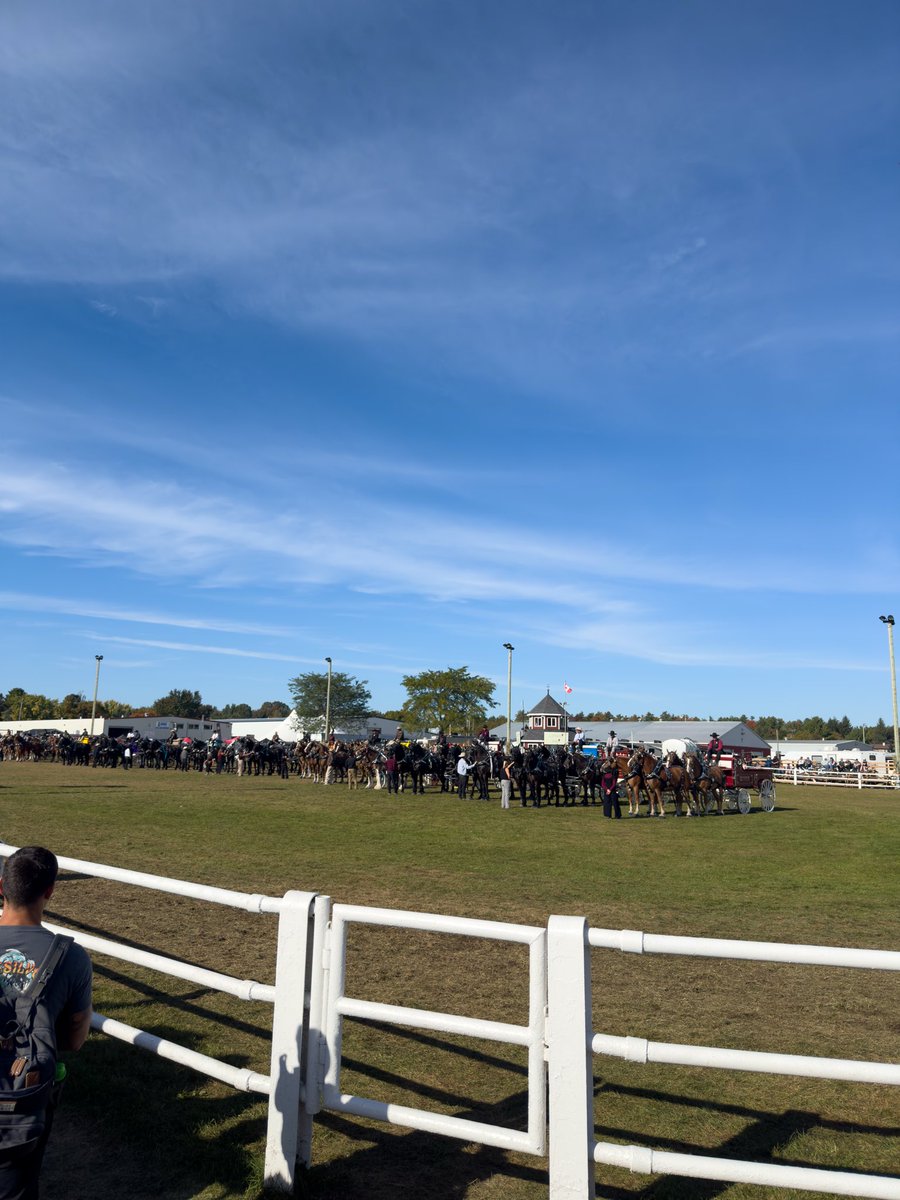 SukhuSSekhon's tweet photo. Amazing time at the @carpfair with the @Carleton_CPC and @KanataCPC! 🇨🇦🌾

Great meeting families, handing out water & balloons, catching the Heavy Horse and Cart shows, and enjoying some delicious fair food!

A big thank you to everyone behind the fair for supporting agriculture and community!