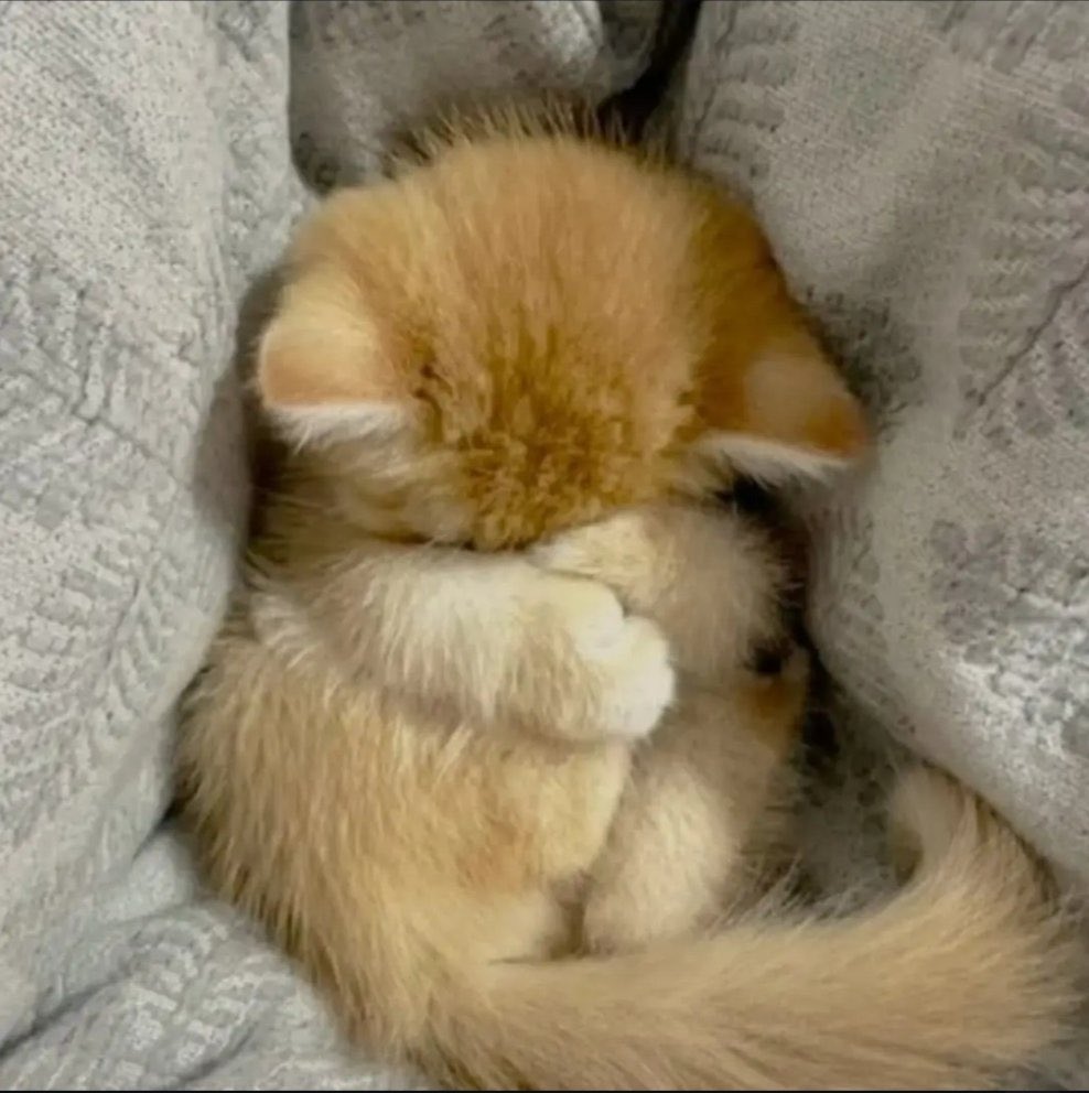 exiiiiit5's tweet photo. 먐먐 ㅠㅠㅠㅠ https://t.co/oo9U0RlVyq