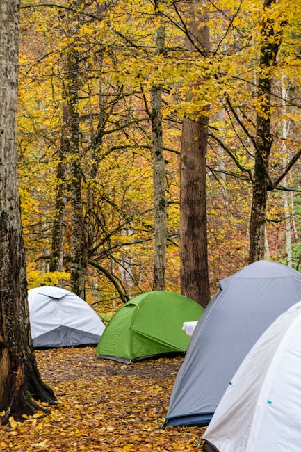 DennisLong4cdo's tweet photo. 🫠🍃😵 https://t.co/DXtVcZetYN