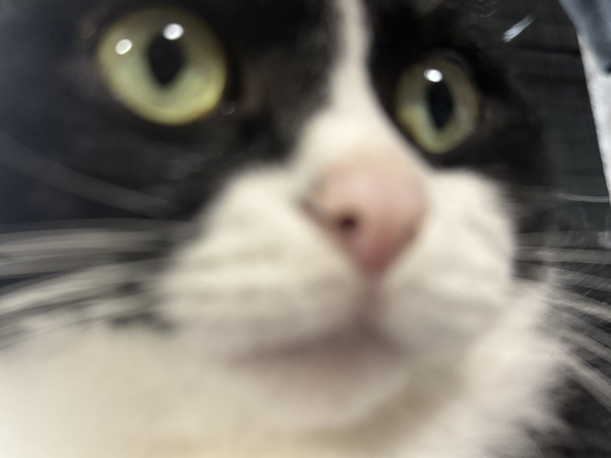 tabi_211108's tweet photo. https://t.co/3KNLH2Fs8k