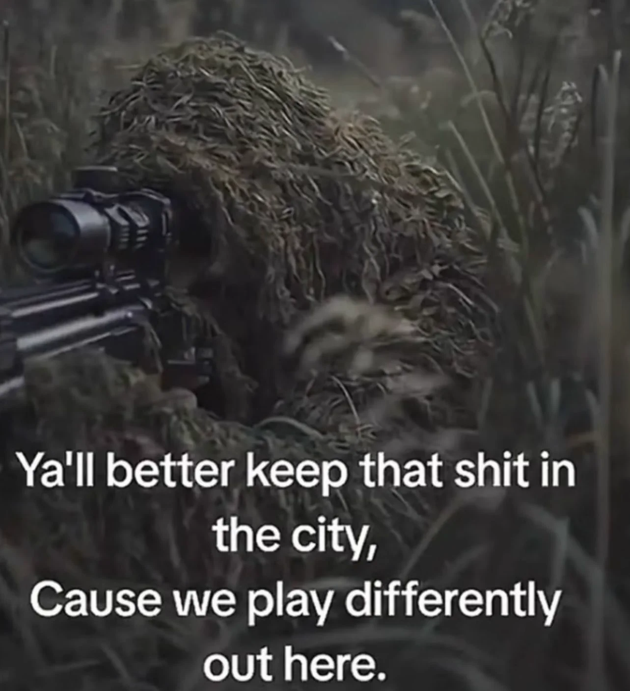 DCM 🐸 on X: 