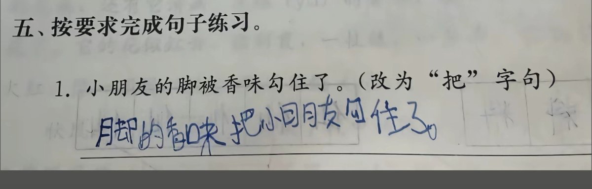不包番茄籽的番茄 的图片 1
