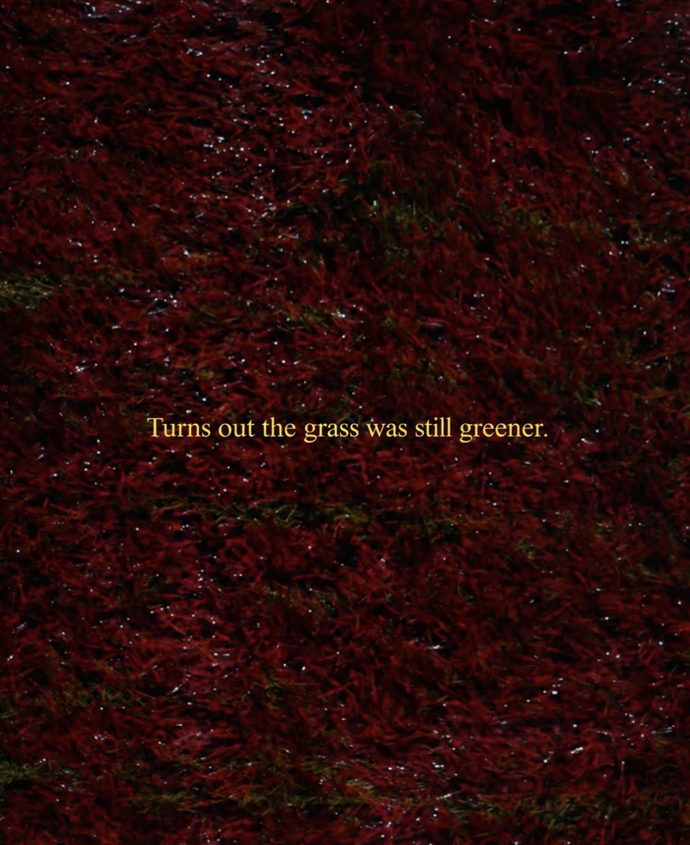 oregon__updates's tweet photo. The grass is DAMN GREEN in Eugene 🦆 

#knowyourpLAce https://t.co/98KORvlICM