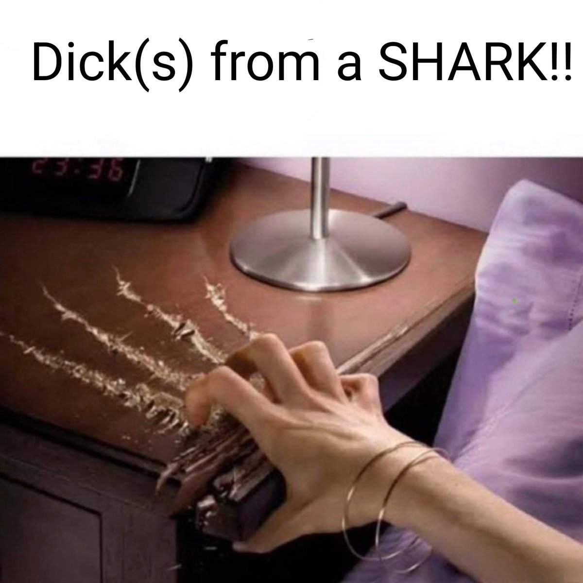 Nitr0gen_Shark's tweet photo. https://t.co/XovsseFsFv