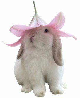 NlCOLEIST's tweet photo. i just found some leaked official art of jecka https://t.co/jQvOGMgjQj