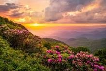 _shabriaaa's tweet photo. #MountainViews #OutdoorLife #EarthFocus #Wilderness #NatureHealing 🌊 Listen to the ocean, watch the trees sway, and feel the earth beneath your feet—nature is the best therapy money can’t buy. 🌿 https://t.co/Vac8ZvF3Xz