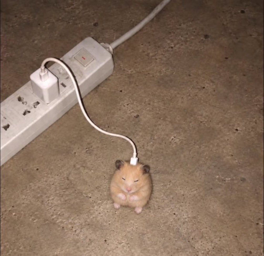 kkuuyoming's tweet photo. 🐹🔌🔋 https://t.co/FF9znRWTIB