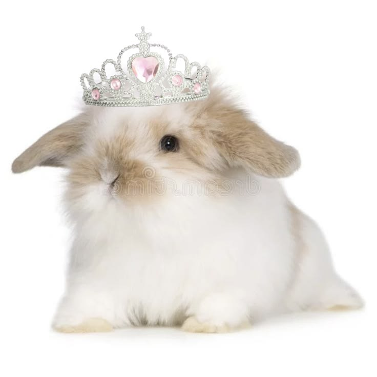 NlCOLEIST's tweet photo. i just found some leaked official art of jecka https://t.co/jQvOGMgjQj