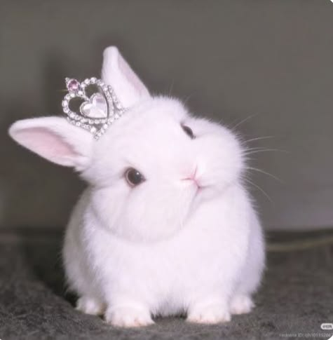 NlCOLEIST's tweet photo. i just found some leaked official art of jecka https://t.co/jQvOGMgjQj