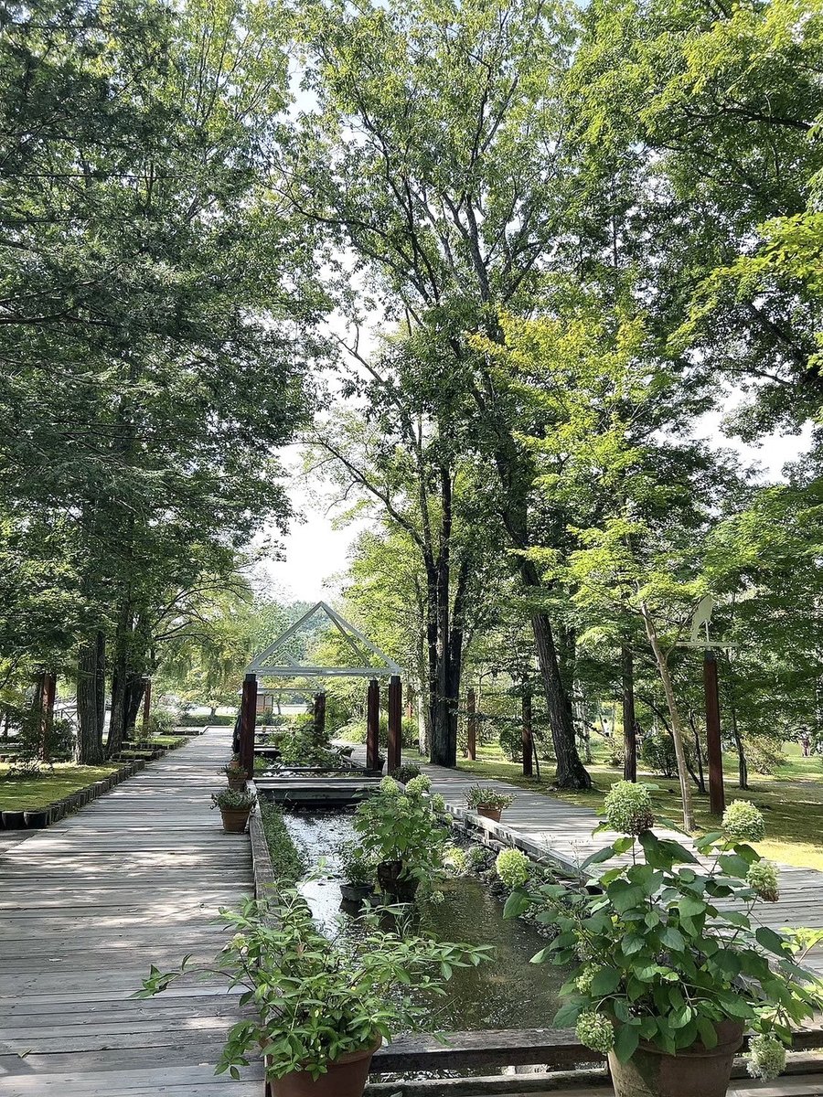 oomamasou081's tweet photo. こんにちMirai💓
趣味の旅行Part2～軽井沢編です(´艸｀*)

まずはSAJILO CAFE FORESTで
カレーを食べて(*´ω`*)
軽井沢タリアセンで
自然を満喫しました🍀✨

リフレッシュしたい方には
めちゃおすすめです👍
＃ダイナム ＃軽井沢 ＃旅行 https://t.co/jHw5OSd45t