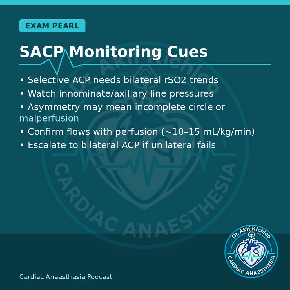 akifkichloo's tweet photo. DHCA, ACP &amp; Valves
DHCA timing, SACP monitoring, ME AV long-axis, TR anaesthetic goals.
Cardiac Anaesthesia Podcast
#CardiacAnaesthesia #CardiacAnaesthesiaPodcast #MedEd #CardiacOR https://t.co/OfZ1pvFAcy