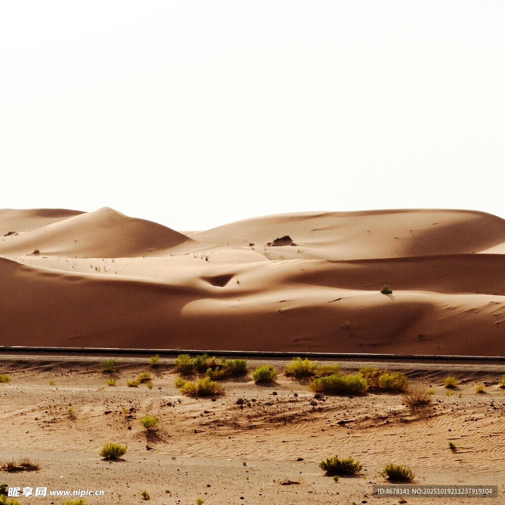 duluddulu's tweet photo. The efficient desert sandstorms help enrich soil moisture, supporting unique creatures like the ostrich in the arid region. https://t.co/hQnspT35MC