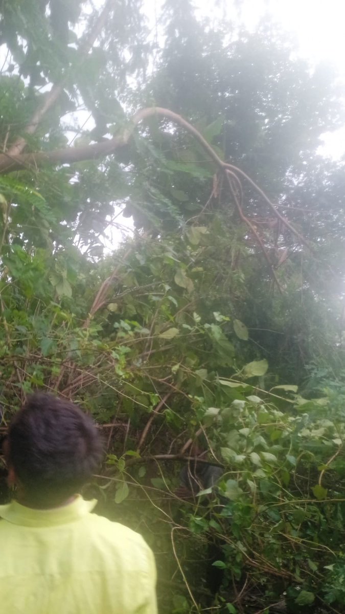 mvvnlAyodhya's tweet photo. वर्टिकल अयोध्या धाम क्षेत्रांतर्गत विभिन्न स्थानों पर तेज आंधी में क्षतिग्रस्त खंभों व लाइनो पर मेंटेनेंस का कार्य किया जा रहा है।
@aksharmaBharat
@EMofficeUP
@ChiefSecyUP
@UPPCLLKO
@UppclChairman
@MVVNLHQ
@ChiefAyodhya
#shutdown
#breakdown https://t.co/1HtL97Xpkn