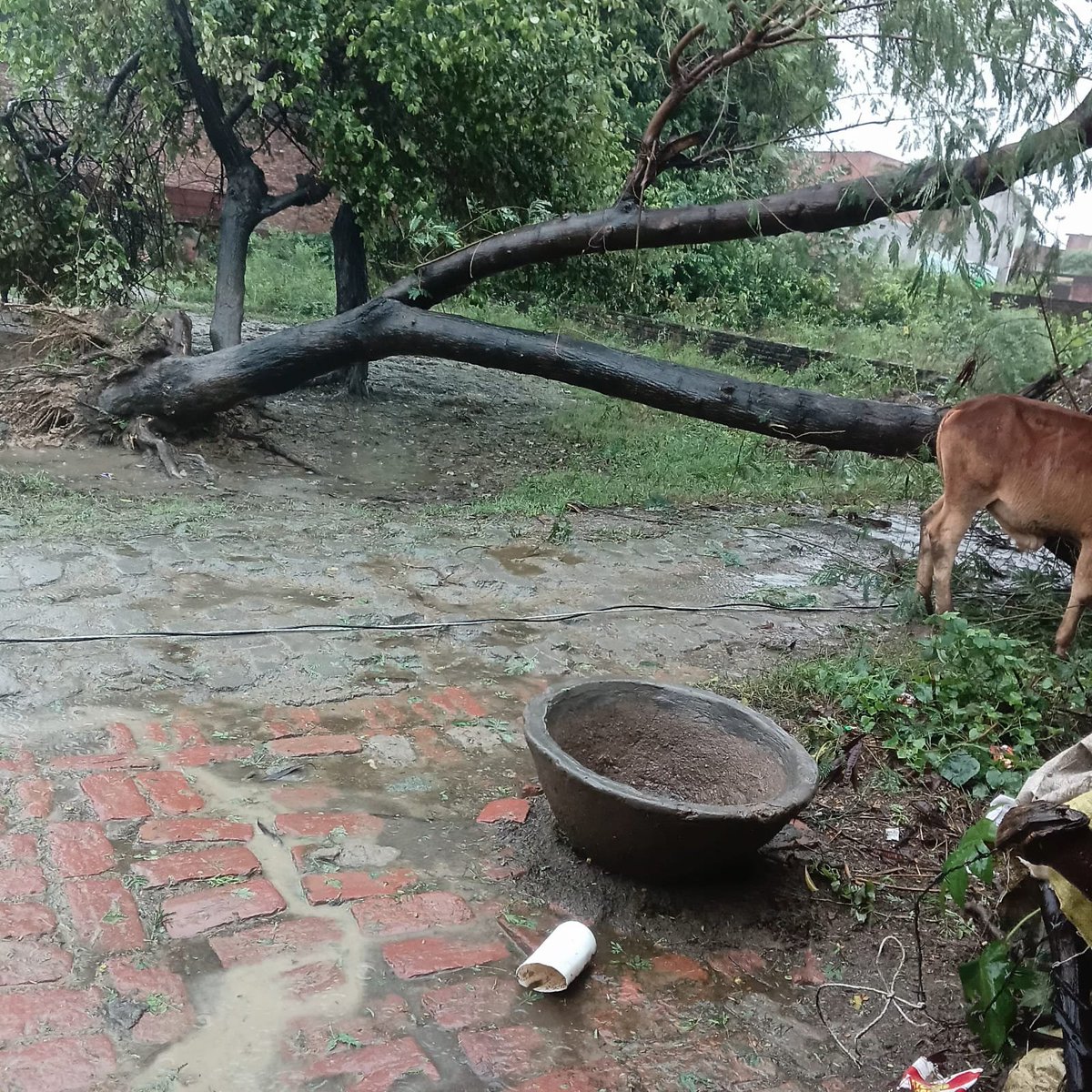 mvvnlAyodhya's tweet photo. वर्टिकल अयोध्या धाम क्षेत्रांतर्गत विभिन्न स्थानों पर तेज आंधी में क्षतिग्रस्त खंभों व लाइनो पर मेंटेनेंस का कार्य किया जा रहा है।
@aksharmaBharat
@EMofficeUP
@ChiefSecyUP
@UPPCLLKO
@UppclChairman
@MVVNLHQ
@ChiefAyodhya
#shutdown
#breakdown https://t.co/1HtL97Xpkn