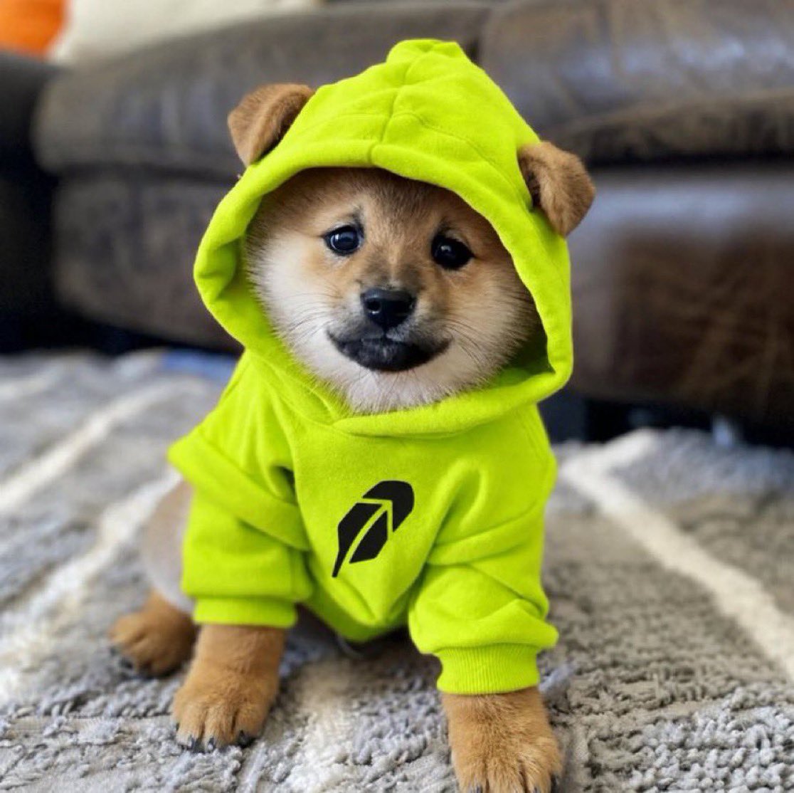 Moneymike_813's tweet photo. Day 16 of asking when will Robinhood list $DOG, @vladtenev ?

The #1 Memecoin on the planet deserves a spot on Robinhood.

Repost if you agree $DOG should be listed 🫵🏼 https://t.co/T85dqQuHj8
