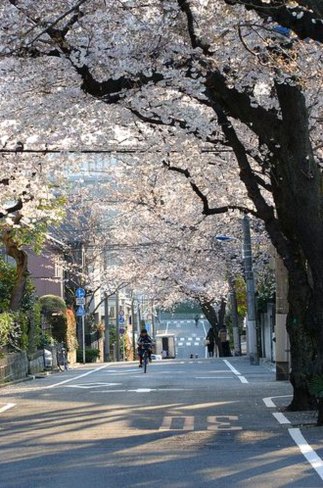 cortneyjb2015's tweet photo. 年末が近くなると不調になる。
年が明けると不思議と元気になるというのをもう何年もやってきたけど、今年は不調になるのが早そうで怖い。
今年は尋常じゃないくらいに忙しくてかなり無理をしたからなあ。 https://t.co/FqWcpaXr5R