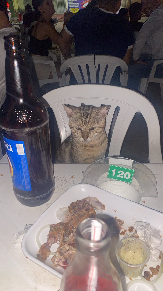 giostorn's tweet photo. 📍 tonheiros bar https://t.co/iHfXr3bQWp