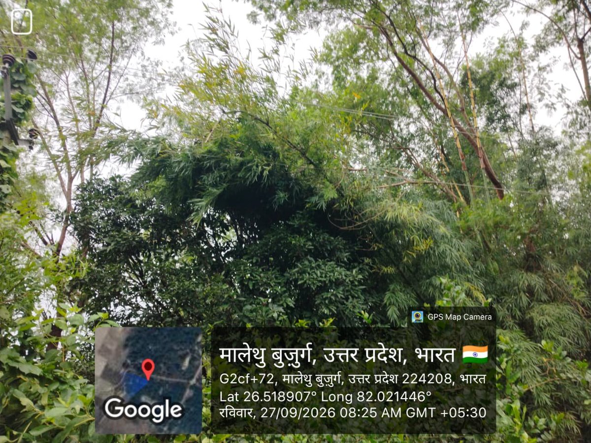 mvvnlAyodhya's tweet photo. विद्युत वितरण खंड मिल्कीपुर के उपकेंद्र
हैरिंगटनगंज के अंतर्गत तेज आंधी में क्षतिग्रस्त खंभों व लाइनो पर मेंटेनेंस का कार्य किया जा रहा है।
@aksharmaBharat
@EMofficeUP
@ChiefSecyUP
@UPPCLLKO
@UppclChairman
@MVVNLHQ
@ChiefAyodhya
#shutdown
#breakdown https://t.co/ABYE836hxN