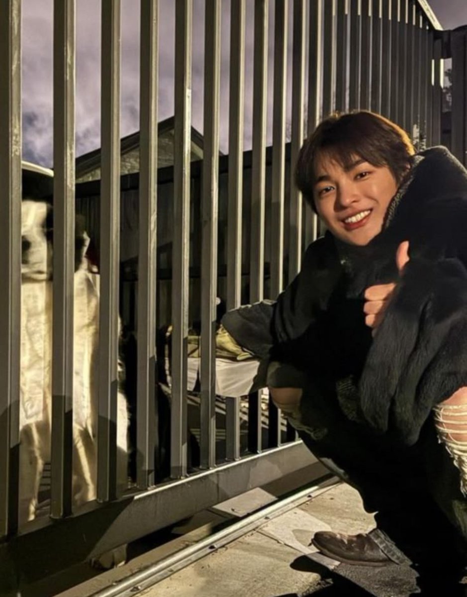 jjugunring's tweet photo. 사진에서 꼬순내나
앙겅호 볕에 말린 포근한 빨래냄새 날거같음 https://t.co/rSbB84wGdk