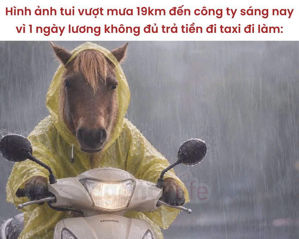 PhmDuyen07's tweet photo. Giờ nghĩ có anh nào bao nuôi, chỉ nằm phè ra tận hưởng, vừa có tiền vừa được sướng. 

Nhưng KHÔNG, tôi không chọn như thế🙂🙂  
Trời mưa lạnh như này phải chi có một cái gì đó ấm ấm cắm thẳng vô người cho cân bằng lại nhiệt độ cơ thể nhỉ🤭🤭 https://t.co/ivowdTXcFe