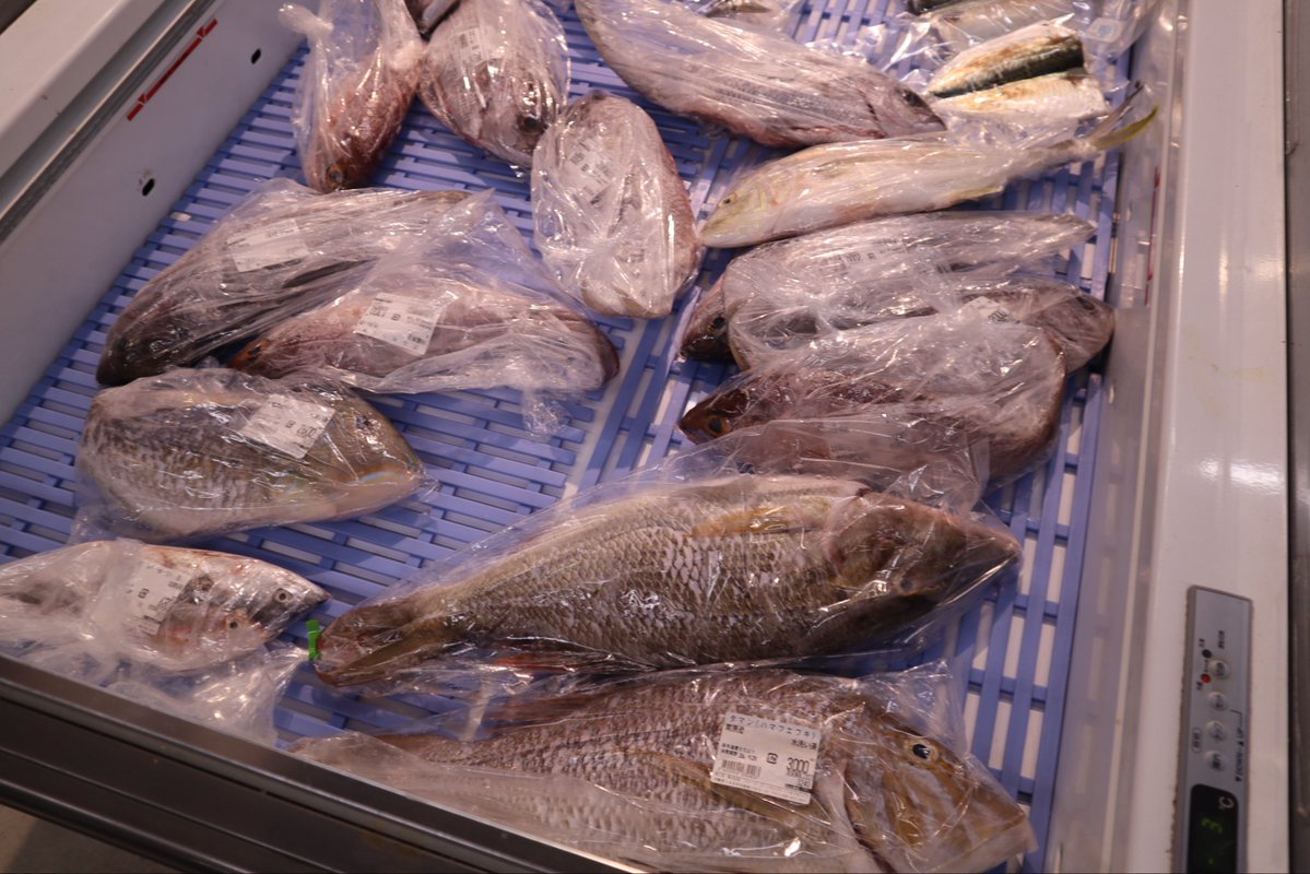fish_ochapi's tweet photo. なかなかグッドなプライスのタマンやんけ🐟 https://t.co/LJzImdmGjb