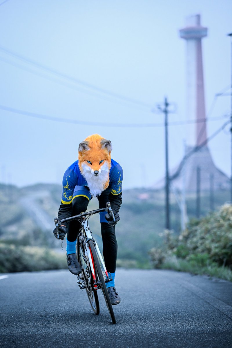 shuttle_drive's tweet photo. 自転車は楽しくて美しい🦊🚴

 #創造トリアノン
📸私（@shuttle_drive） https://t.co/UDuxQISjDP