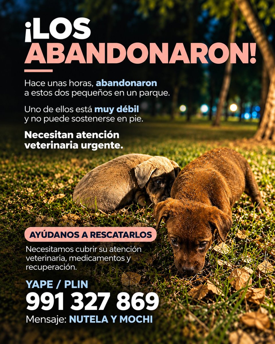 incondic_peru's tweet photo. 🚨 URGENTE: dos cachorros fueron abandonados esta noche en un parque.

El perrito plomo está muy mal: se encuentra extremadamente débil, no puede sostenerse en pie y se ha desmayado varias veces. Su estado requiere atención veterinaria urgente.

No podíamos dejarlos ahí. Necesitamos llevarlos a una veterinaria, realizarles los exámenes necesarios y cubrir su tratamiento y recuperación.

🐾 Ayúdanos a salvarlos. Cualquier aporte, por pequeño que sea, puede hacer la diferencia.

Yape / Plin: 991 327 869
📌 Mensaje: NUTELA Y MOCHI

🙏 Si no puedes donar, comparte. Necesitamos que esta ayuda llegue rápido.

#Dona  #TodoSuma