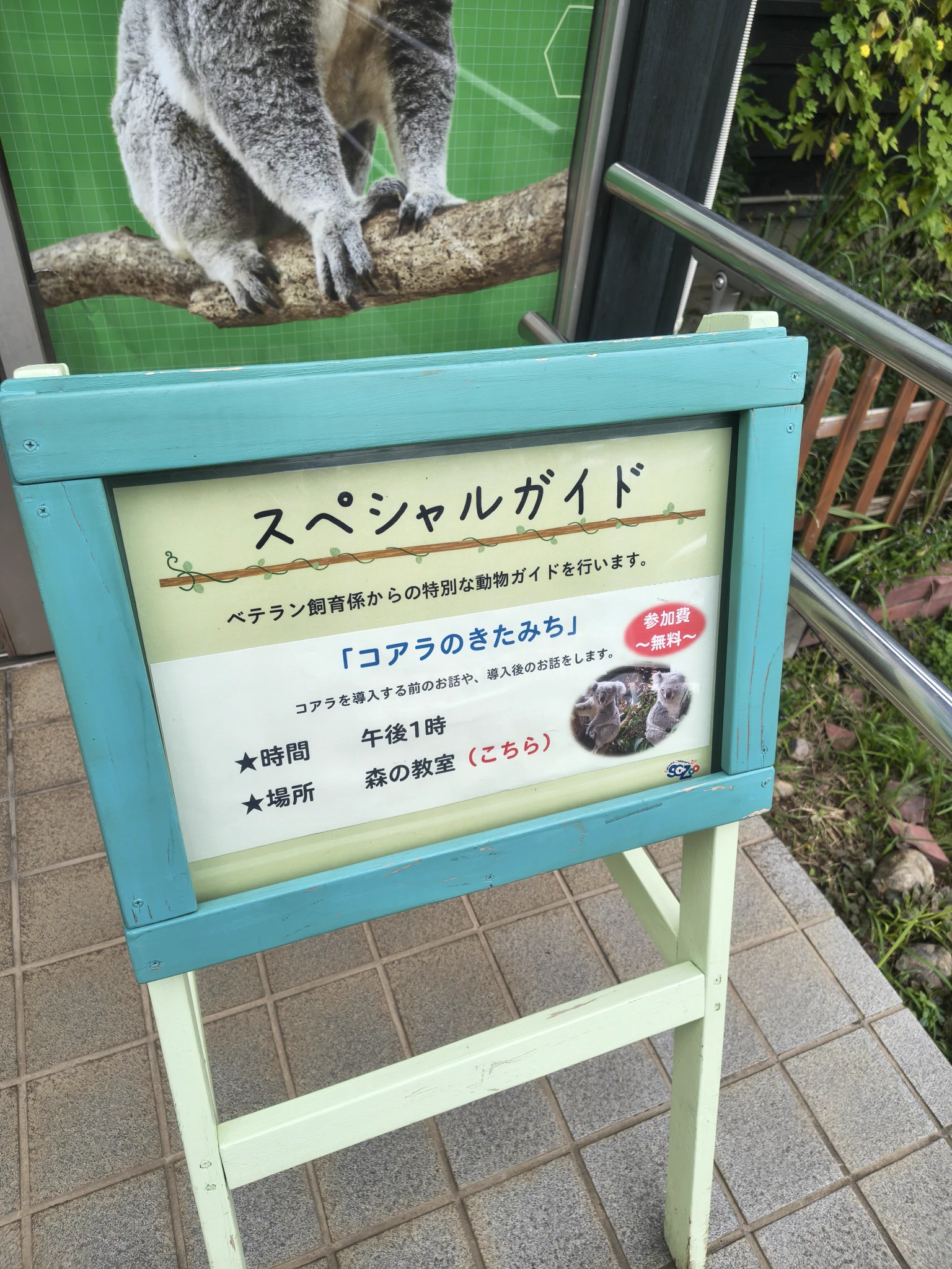 かた🦝🐨 on X: 