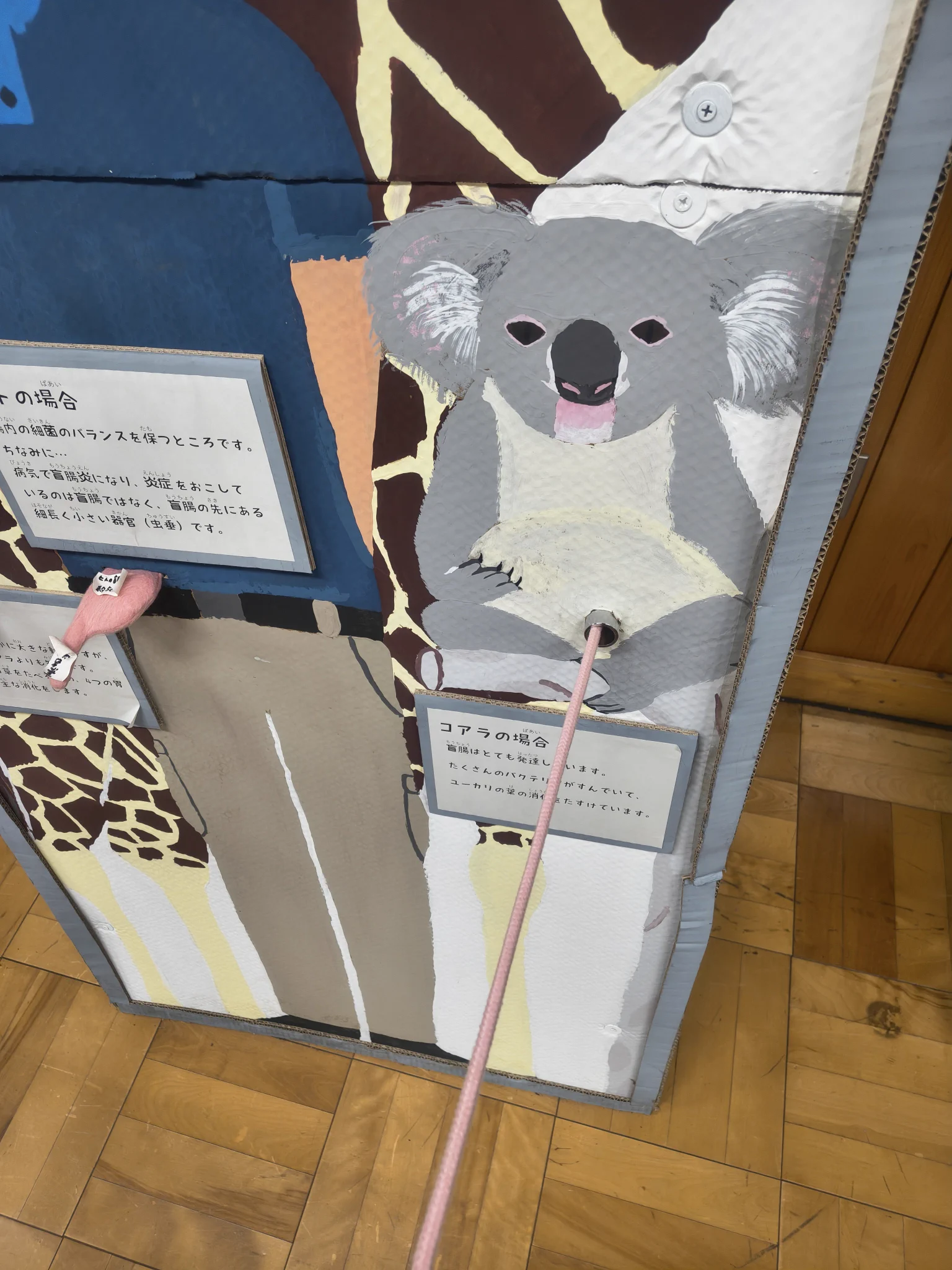 かた🦝🐨 on X: 