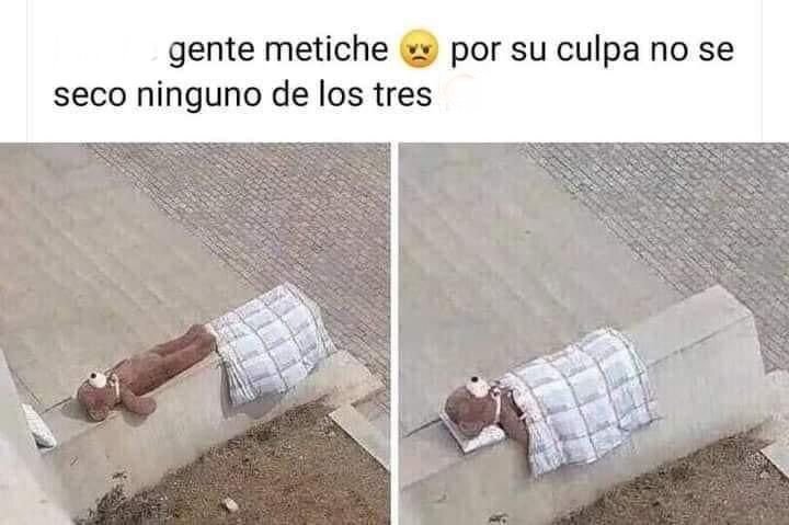 FloresMigueel's tweet photo. https://t.co/tcq7exENsW