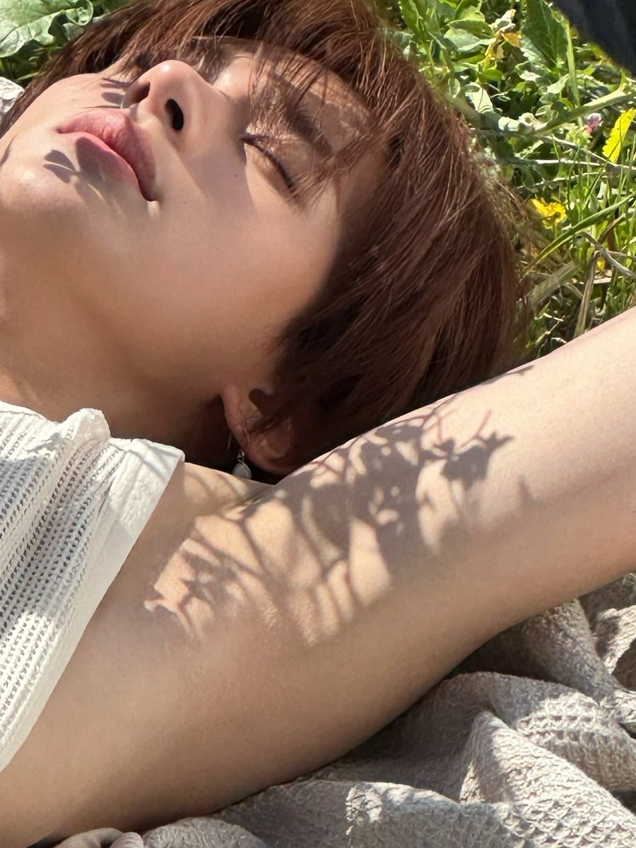 sehnsoocht's tweet photo. Perhaps I miss summer more than I should: the warmth on my skin, the afternoon light spilling through the windows, and the quiet hours that seemed to ask nothing of me. https://t.co/07bSjhbVyo