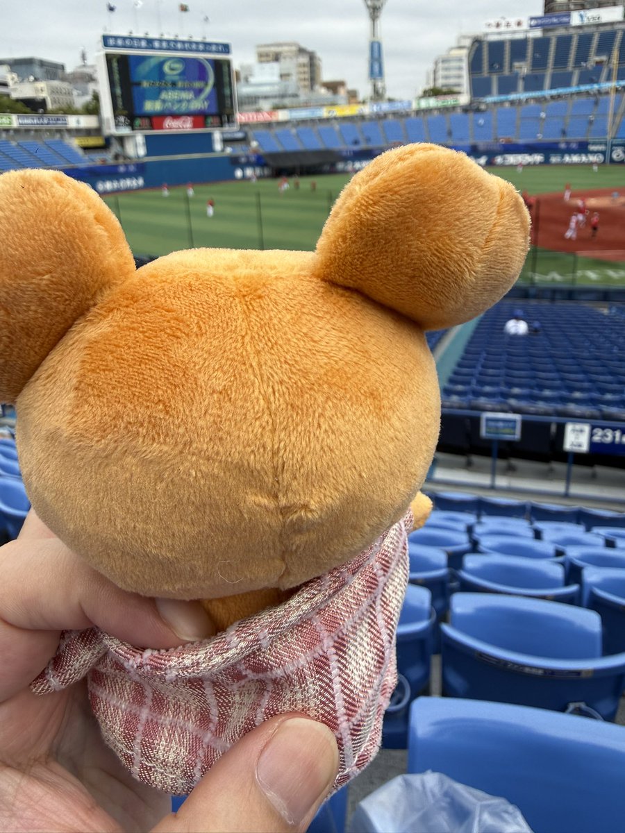 yasureal's tweet photo. 今日はここから👇
※ヒメグマ復活ʕ•ᴥ•ʔ https://t.co/jQrlWsL4O4