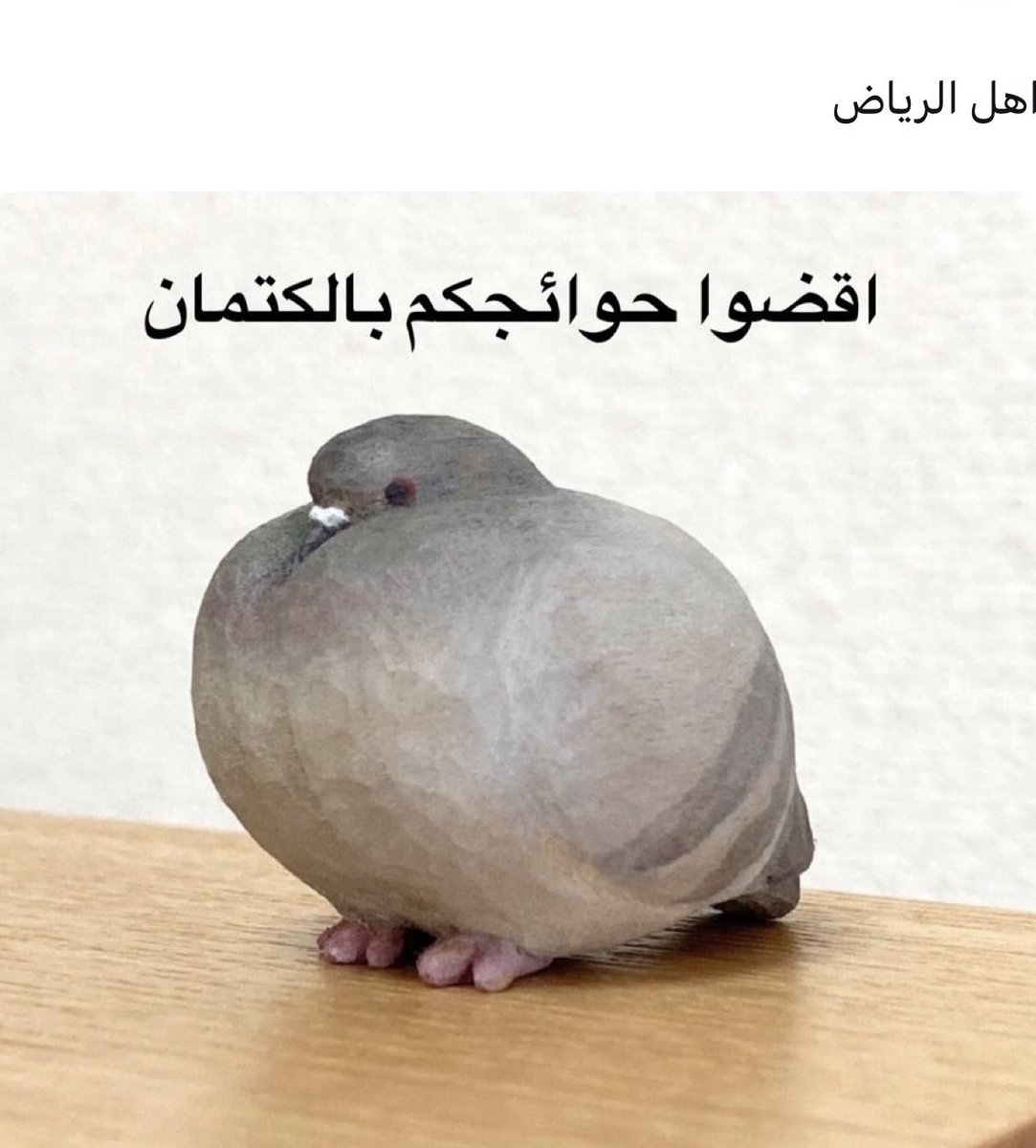 seltan00a's tweet photo. #تعليق_الدراسة 

اهل الرياض https://t.co/JBB47aCPYj