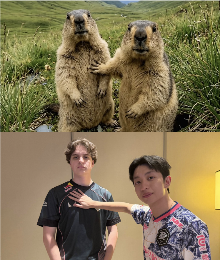 pprxteam's tweet photo. me and the bestie @G2VALORANT https://t.co/iUxRUAuBE0