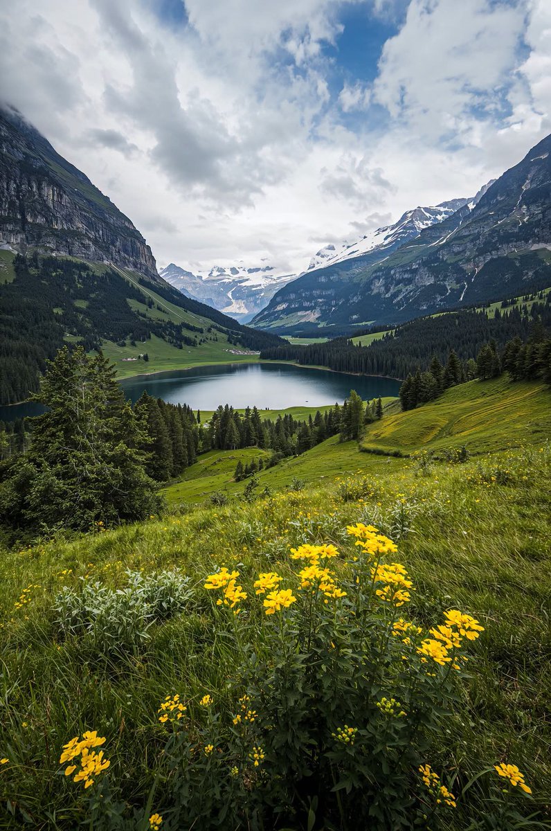 worldclick56's tweet photo. Peaceful Alpine Lake 🏔️🌿 https://t.co/1JTmgnzFUH