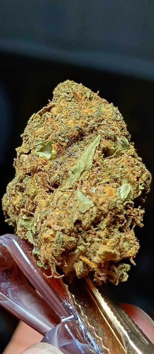 demian_salgado's tweet photo. #weed #tw #flower #cdmx https://t.co/pkNK5j6Hiv