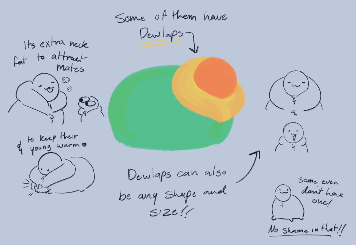 scribblepillar's tweet photo. “I wanna learn how to draw the lil fat catipillar may you teach us how to draw our own lil fatties please”

Okay!! Sorry if this a bit all over the place, idk how to make a tutorial… but just have fun and get creative!! Hope this helps!!! https://t.co/KvovDkAuId