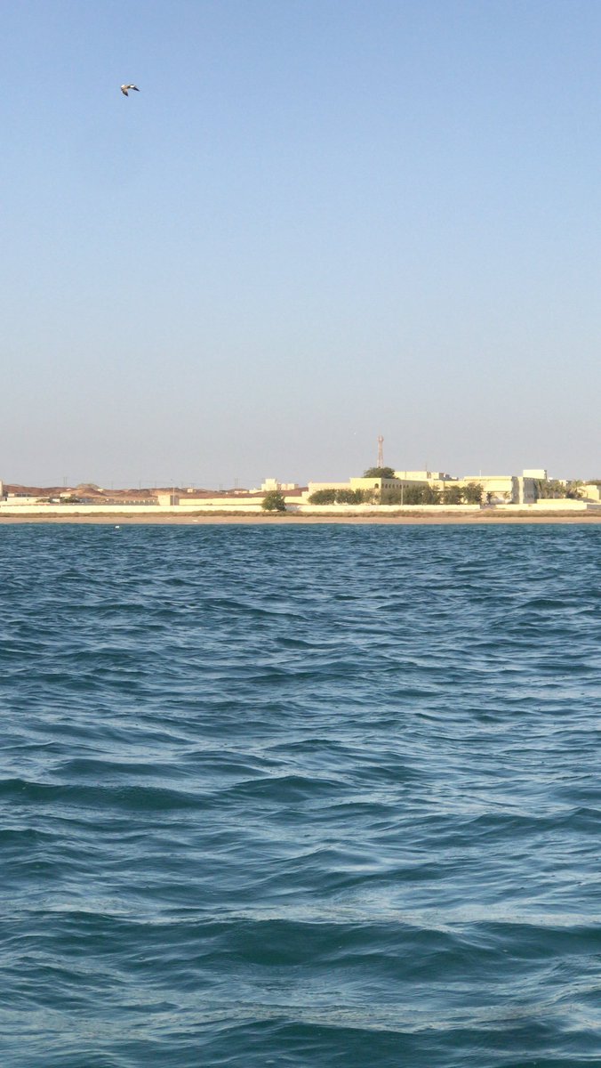 SamiZaid928046's tweet photo. ربي هب لنا قلوباً مُطمئِنه لا يُؤذيِها بلاء الدُنيا ولا يُشغلها سوى رضاك .. 

#صباح_الخيـر https://t.co/mDbBTiuANm