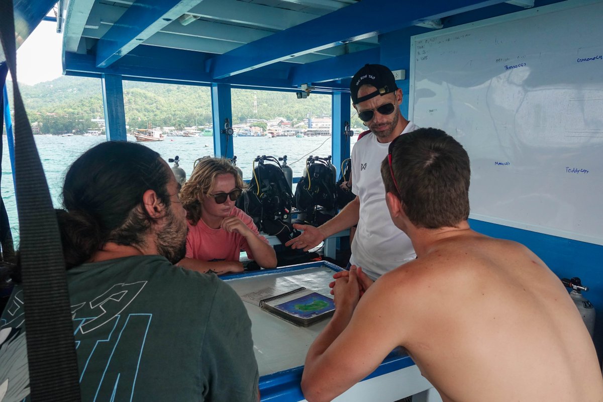blackturtledive's tweet photo. At Black Turtle Dive, our instructors are highly trained and will ensure you receive lots of attention. Slowly building your confidence and ability as you develop the skills necessary to become a PADI Open Water diver. https://t.co/scLhPbQiqw #OpenWater #Kohtao #Thailand #PADI https://t.co/uu4zIVemR0