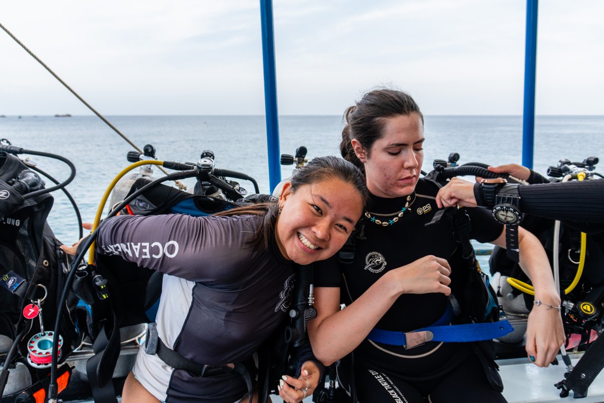 blackturtledive's tweet photo. At Black Turtle Dive, our instructors are highly trained and will ensure you receive lots of attention. Slowly building your confidence and ability as you develop the skills necessary to become a PADI Open Water diver. https://t.co/scLhPbQiqw #OpenWater #Kohtao #Thailand #PADI https://t.co/uu4zIVemR0