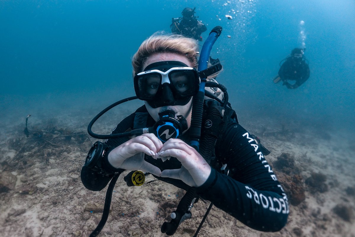 blackturtledive's tweet photo. At Black Turtle Dive, our instructors are highly trained and will ensure you receive lots of attention. Slowly building your confidence and ability as you develop the skills necessary to become a PADI Open Water diver. https://t.co/scLhPbQiqw #OpenWater #Kohtao #Thailand #PADI https://t.co/uu4zIVemR0