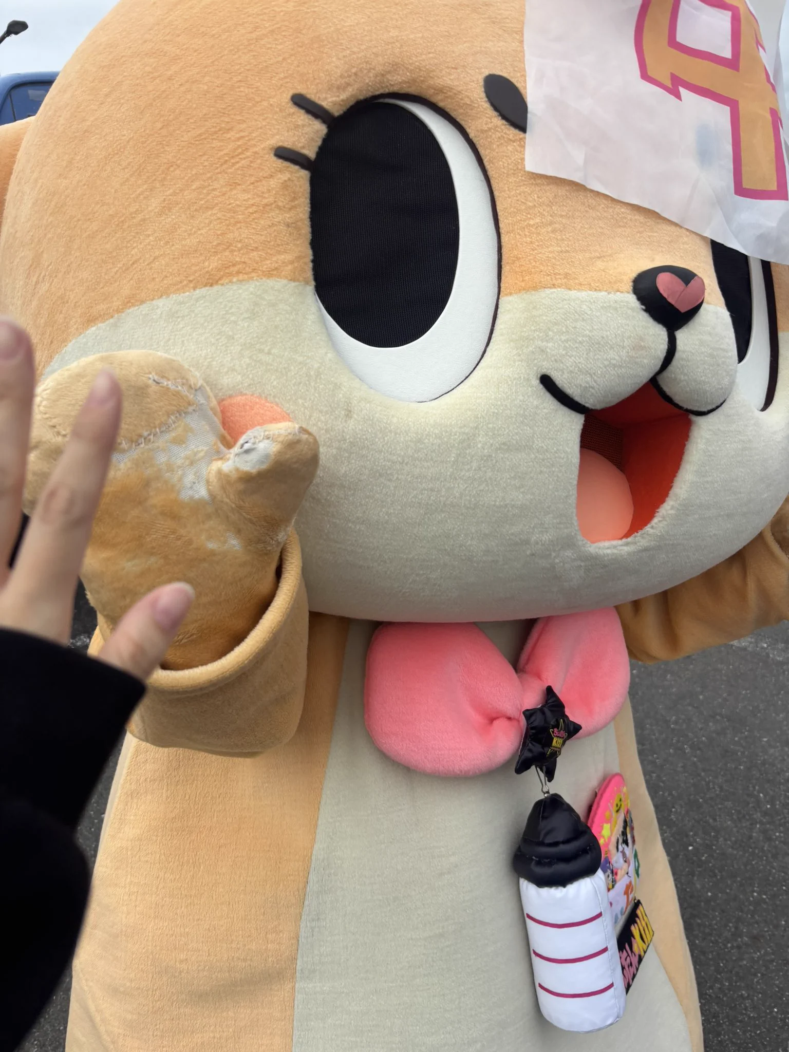 Replies by ちぃたん☆／Chiitan (@chiitan7407) / X