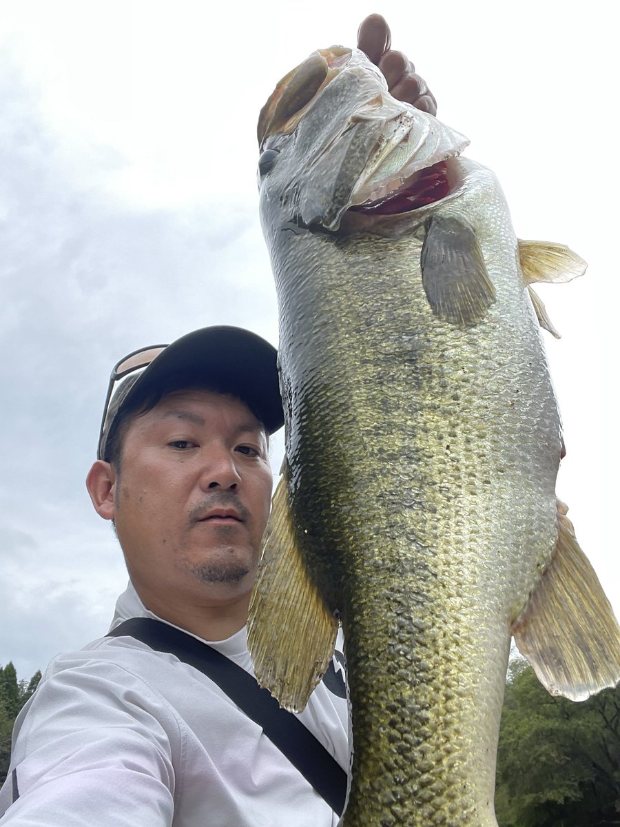 sho19861203's tweet photo. 真昼間ロクマル

めちゃくちゃ引いてランディングするまで5分くらいかかった！

ラインは信頼できるダイソーPE0.6にシーガーのフロロ8lb  安心安全の10秒ノット笑

これでシーバスからバスの50⤴︎多数対戦したけど基本余裕

来週友達案内するので下見でスピニング1本勝負
#瀬田川クオリティ
#ロクマル https://t.co/7xBK35fasv