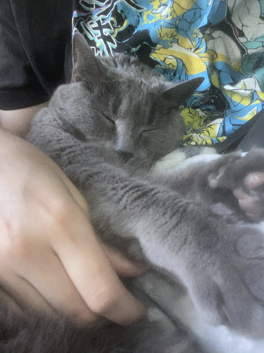 graveyardsilly's tweet photo. loml https://t.co/Y5VnuXKMO1