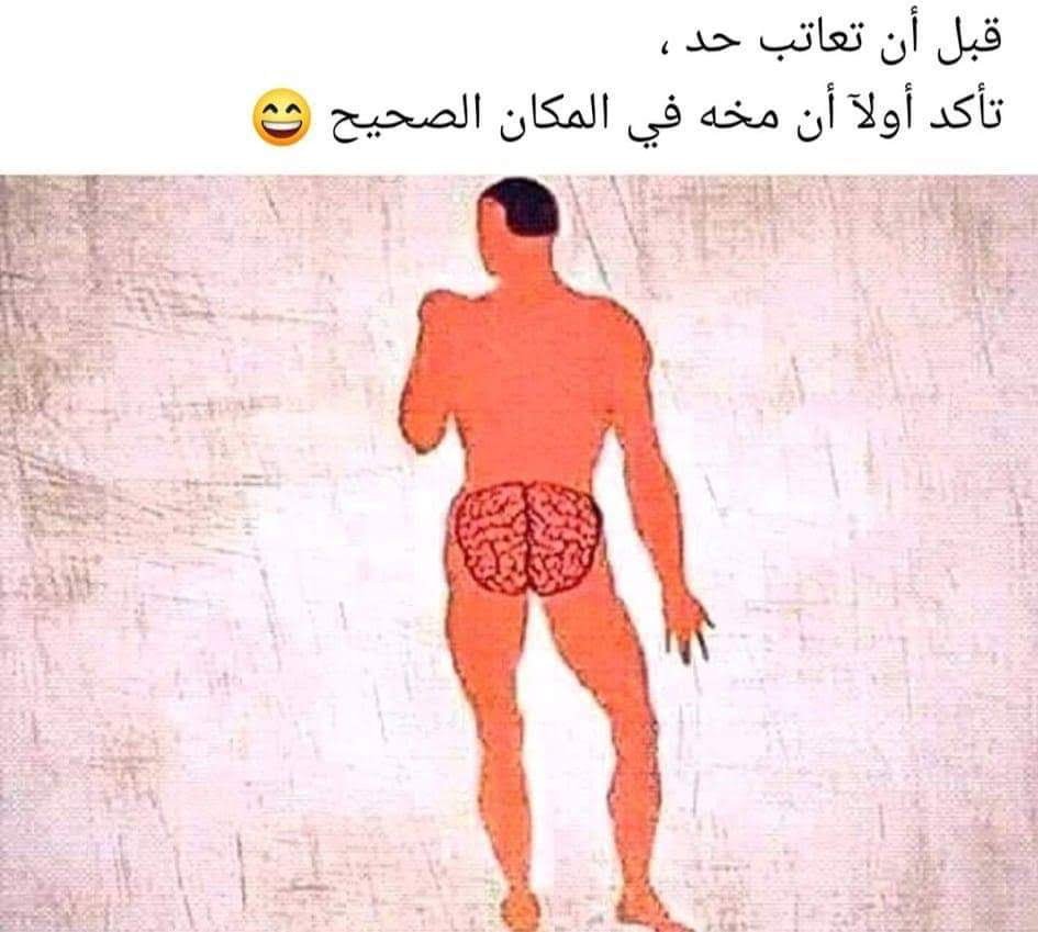 arabie51's tweet photo. @SarhanSher99318 أعتب عليك أخى شريف 
كان يجب عليك أن تعلم أن هذا الذى يُسمى بالإعلامى قد خضع لعملية كبيرة و تم نقل مُخه للمقعده 👇👌😊 https://t.co/mCHAa9RDBa