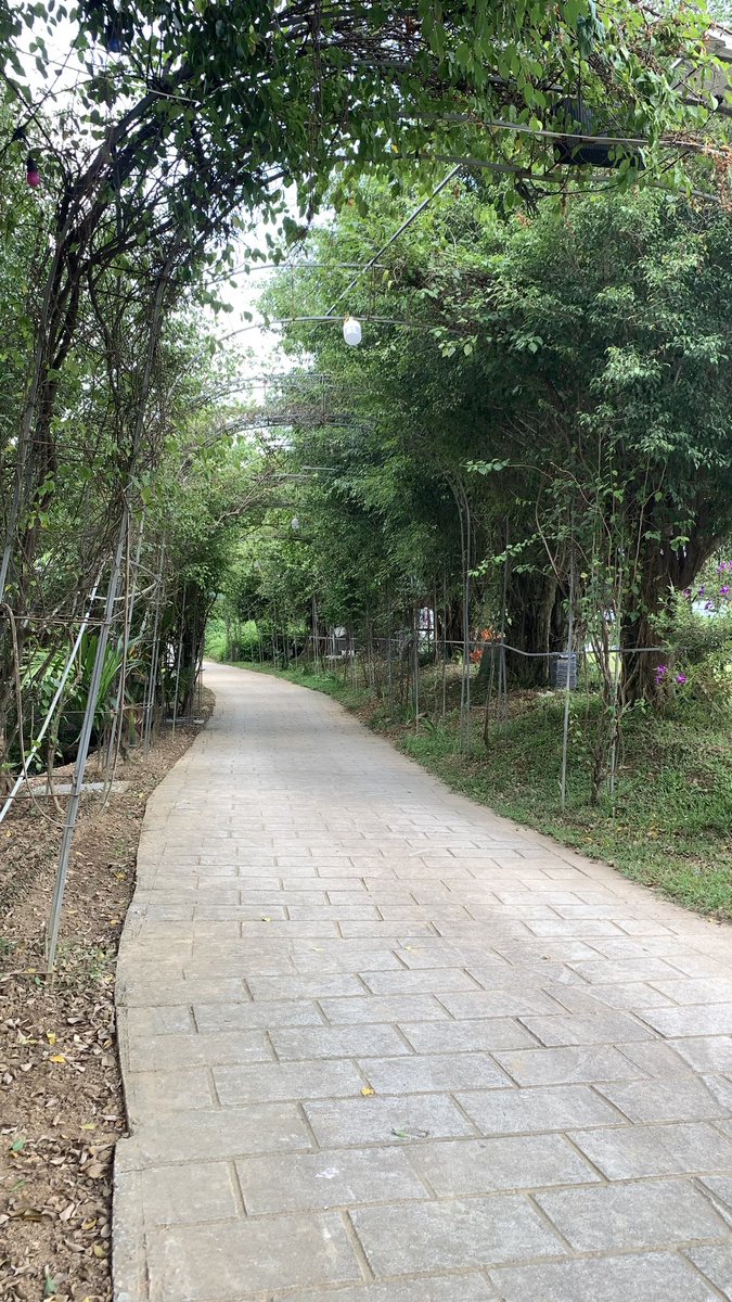 furkir0's tweet photo. hoà bình https://t.co/pYguoyPye9