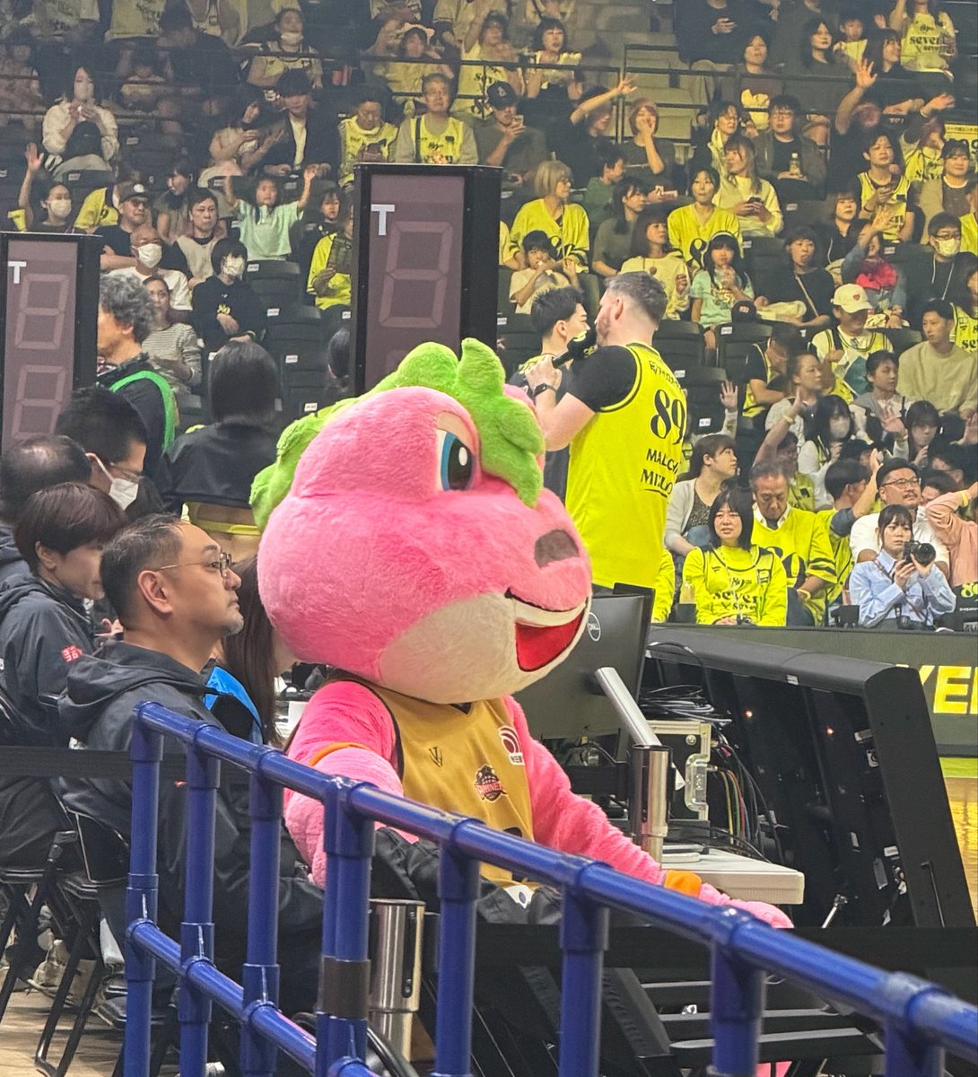 NYOx2's tweet photo. 働くティナを横目にOFFる我がマスコット https://t.co/mObqeQNi4g
